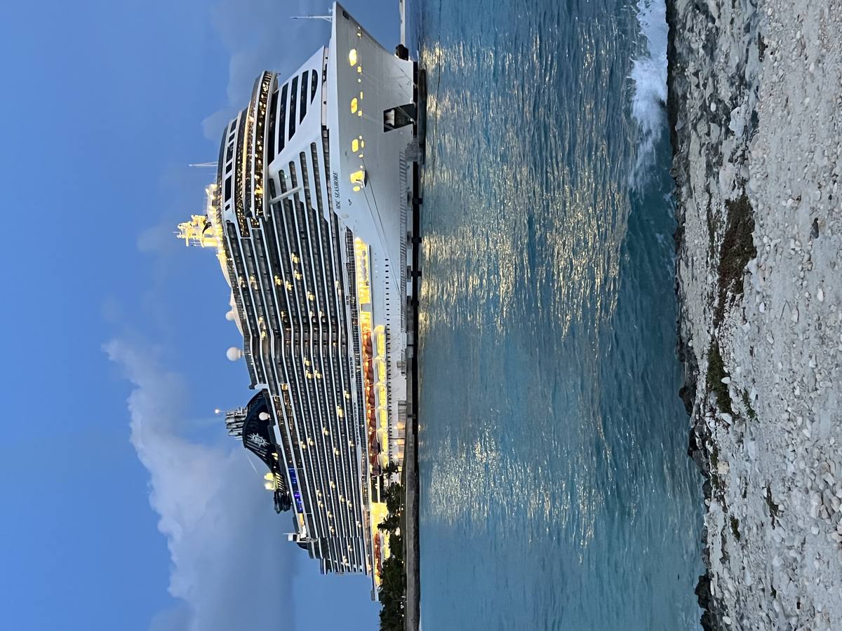 MSC Seashore cruise ship illuminated at night in port